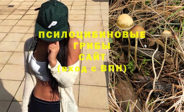 метамфетамин Алексин