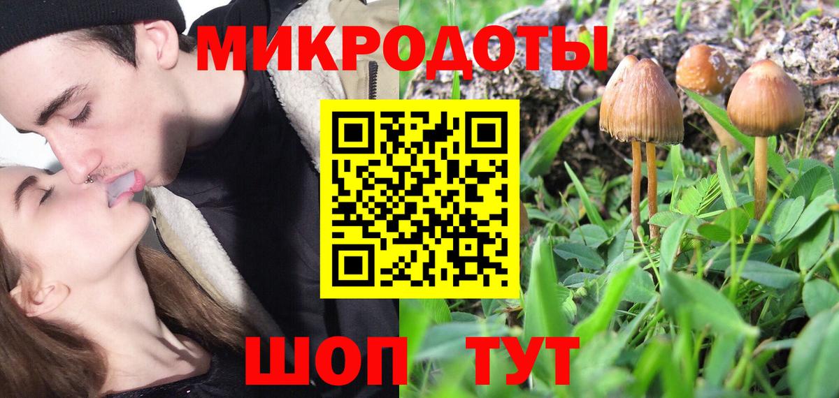 Псилоцибиновые грибы Psilocybe  Галлюциногенные грибы GOLDEN TEACHER  Вход с VPN  Старая Купавна 