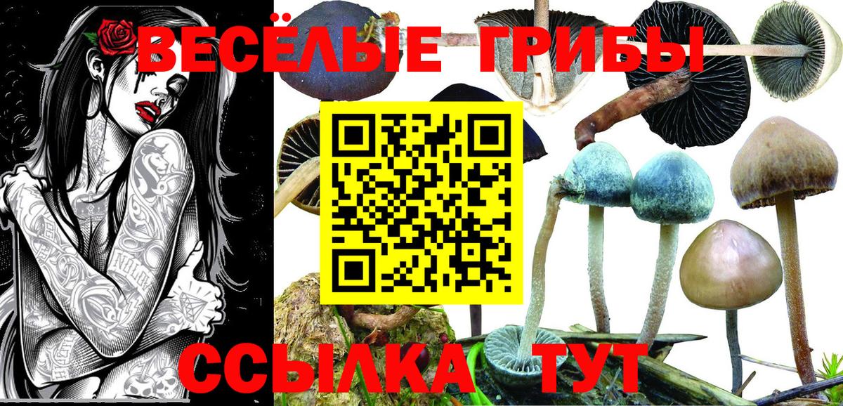 Вейп ТГК Старая Купавна